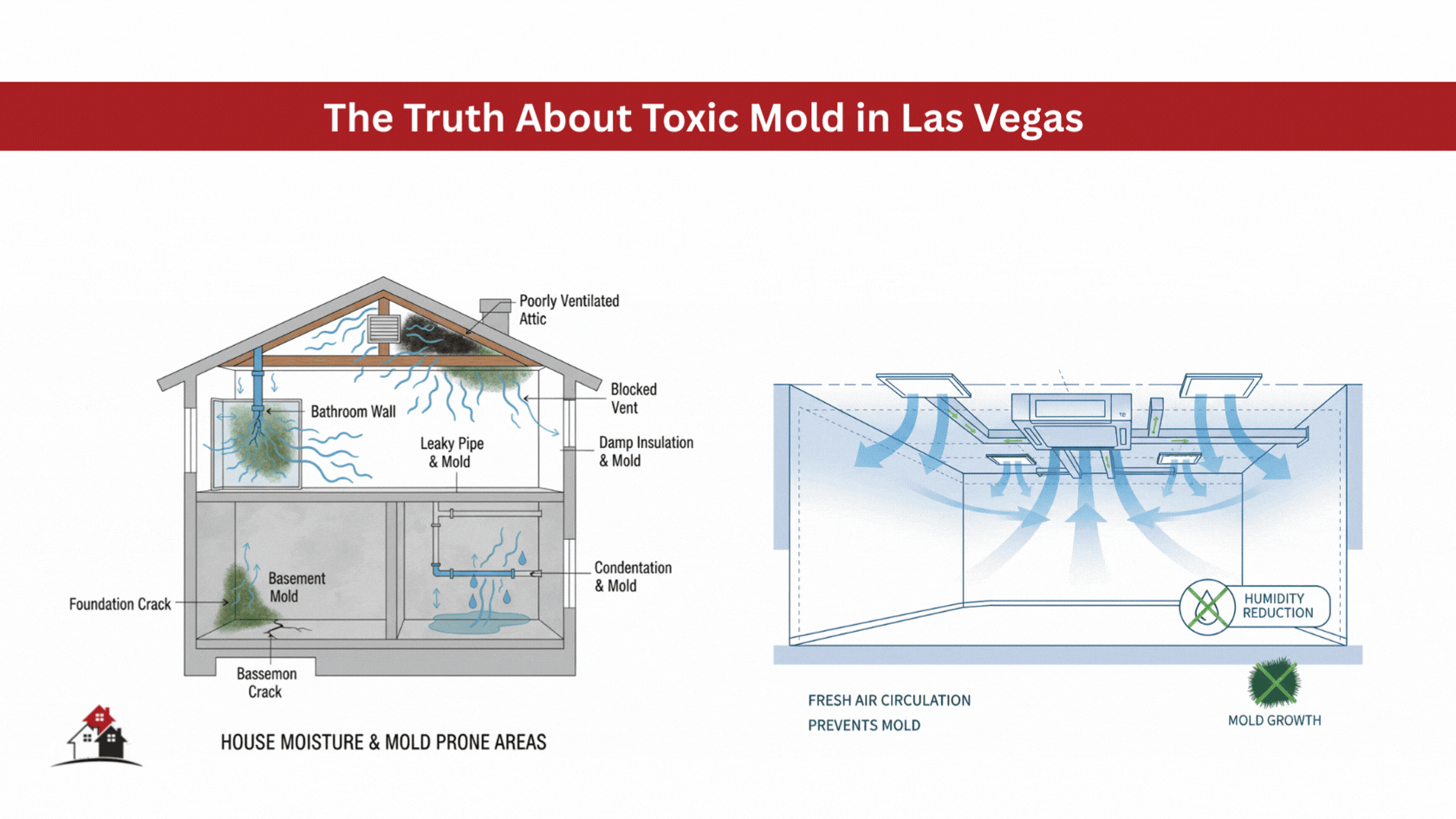 About Toxic Mold