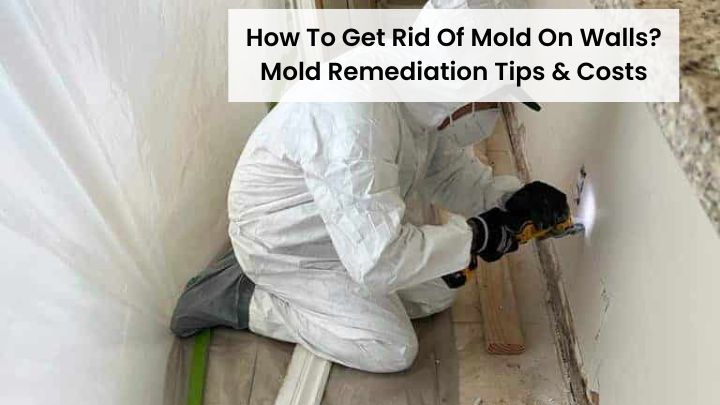 how to get rid of mold on walls